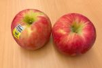 honeycrisp apple